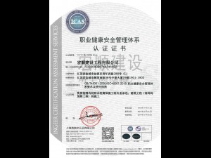 職業管理體系認證書